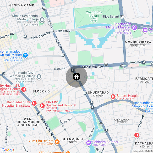Google Map