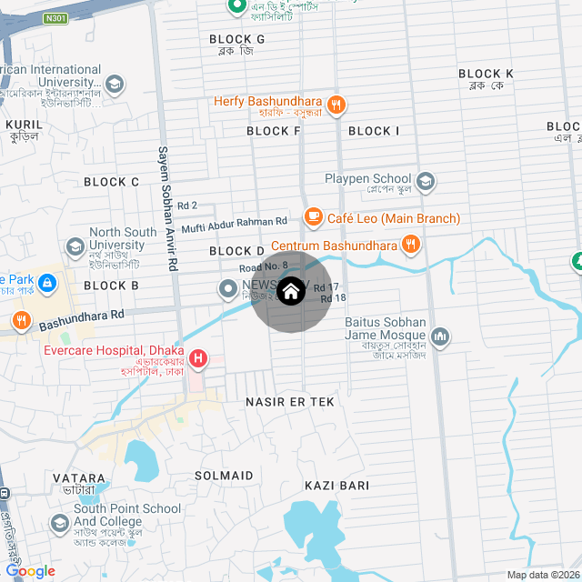 Google Map